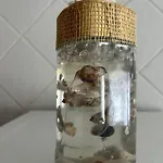 Casinha Da Ilha No 펜션